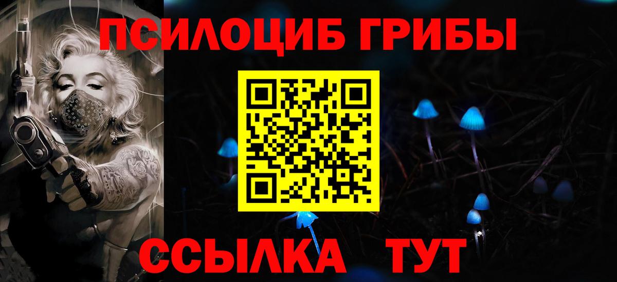 Галлюциногенные грибы Psilocybe  Вход с VPN  Псилоцибиновые грибы прущие грибы  Балабаново 